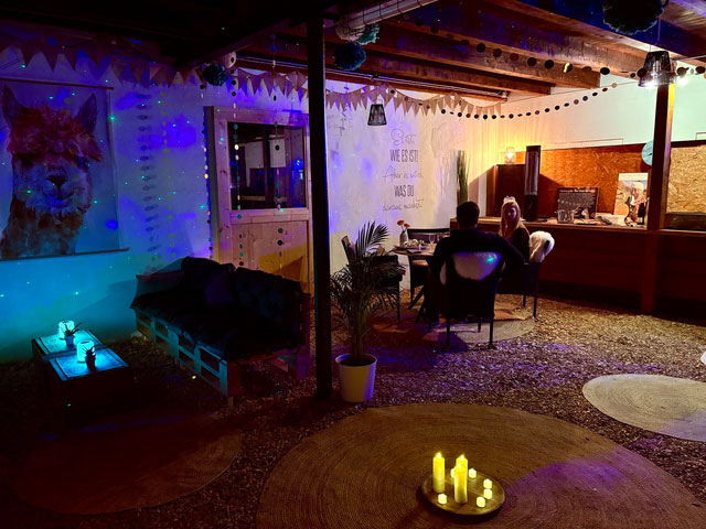 Junggesellinenabschied Alpakas